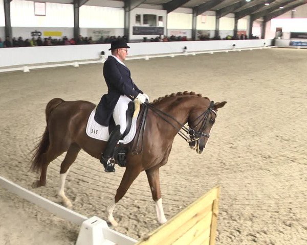 Reitturnier Karlsfeld/Obb. 2020