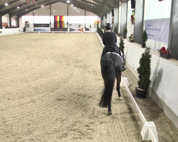 Reitturnier Karlsfeld/Obb. 2020