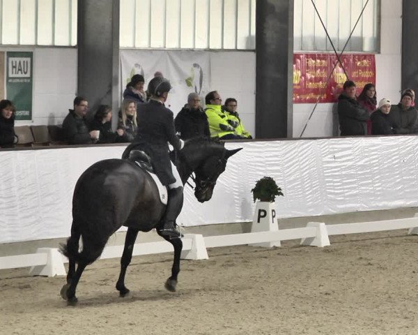 Reitturnier Karlsfeld/Obb. 2020