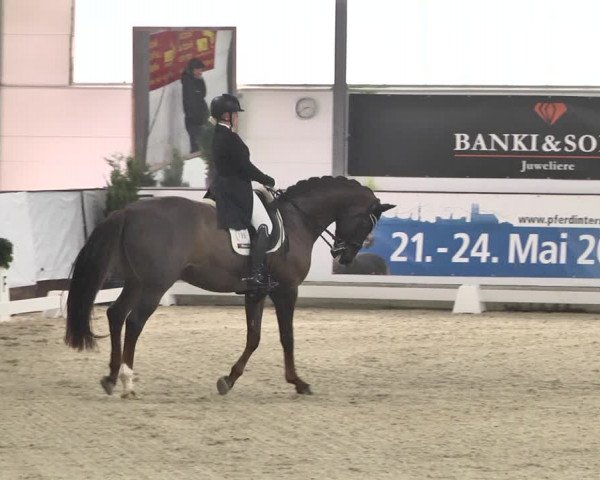Reitturnier Karlsfeld/Obb. 2020