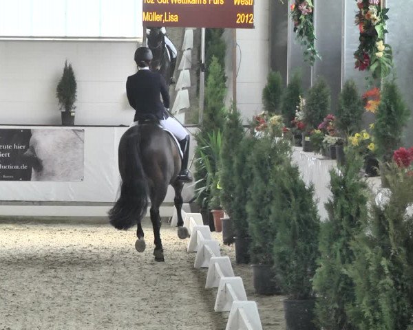 Reitturnier Karlsfeld/Obb. 2020