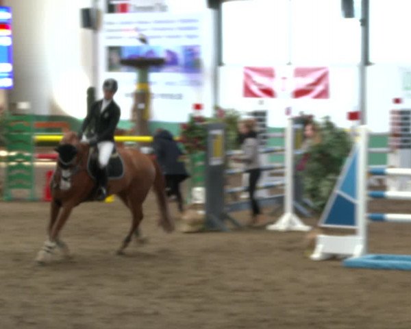 Reitturnier Warendorf-Freckenhorst 2020