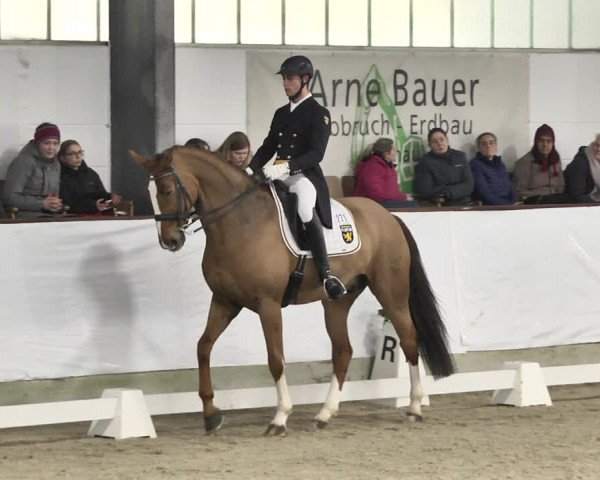 Reitturnier Karlsfeld/Obb. 2020