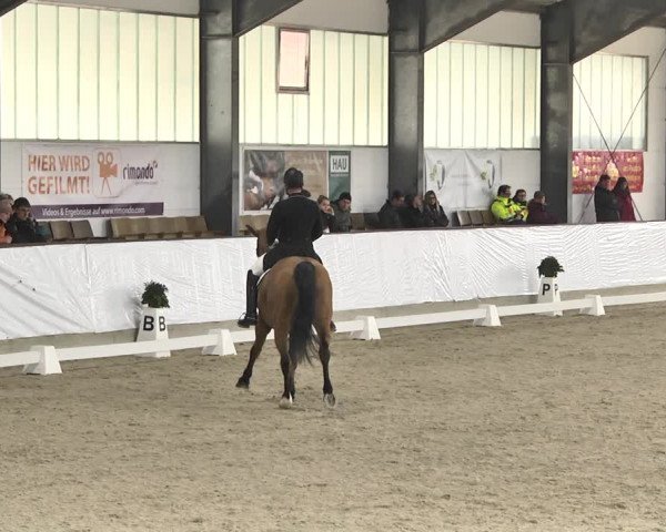 Reitturnier Karlsfeld/Obb. 2020