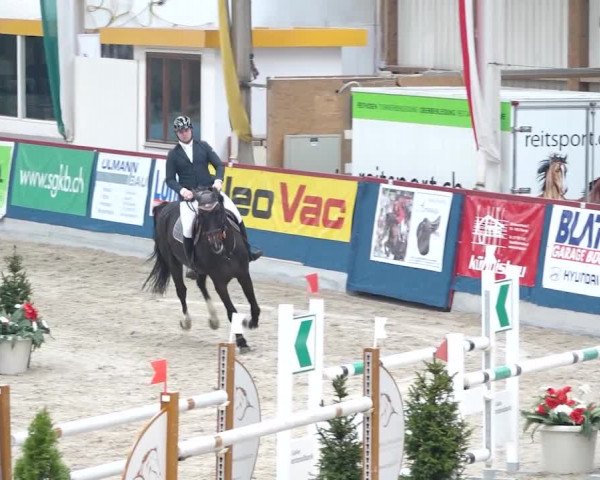 Reitturnier Oberriet 2020
