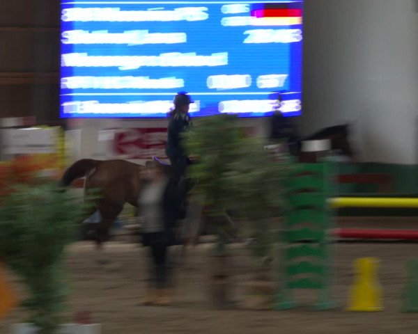 Reitturnier Warendorf-Freckenhorst 2020