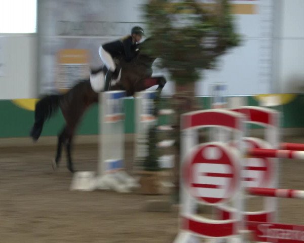 Reitturnier Warendorf-Freckenhorst 2020