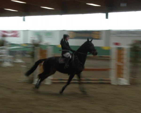 Reitturnier Warendorf-Freckenhorst 2020