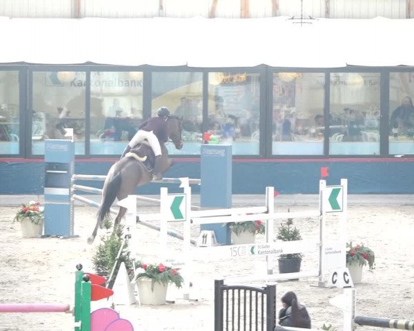 Reitturnier Oberriet 2020
