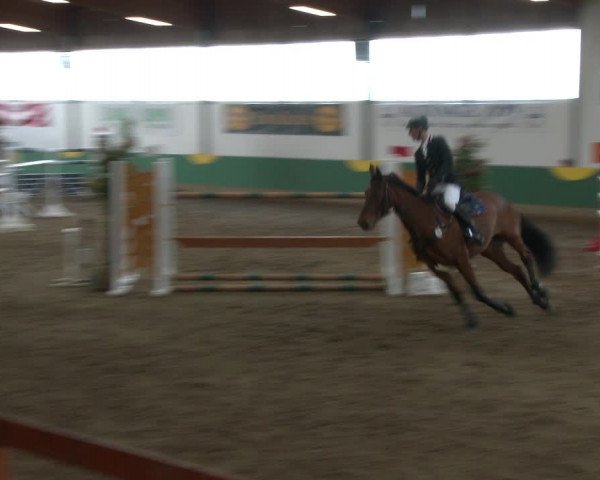 Reitturnier Warendorf-Freckenhorst 2020
