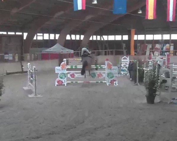 Reitturnier Heidelberg-Kirchheim 2020