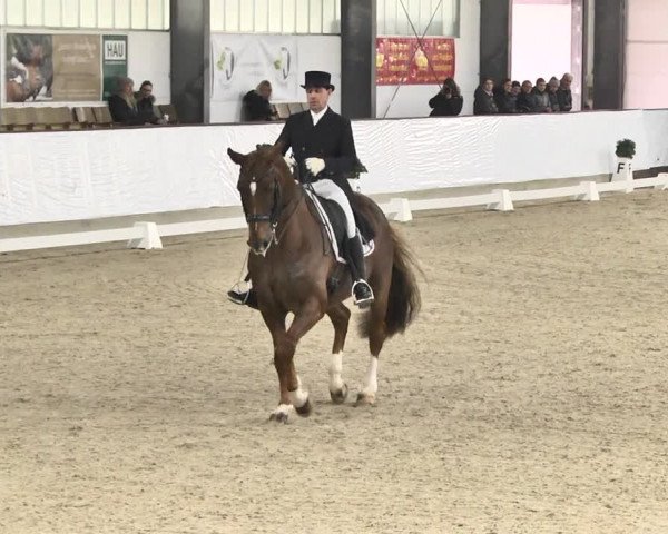 Reitturnier Karlsfeld/Obb. 2020