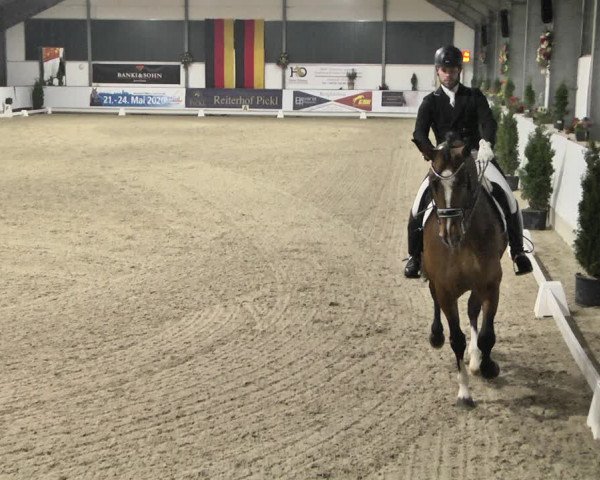 Reitturnier Karlsfeld/Obb. 2020