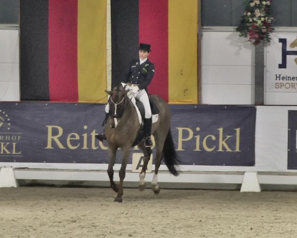 Reitturnier Karlsfeld/Obb. 2020