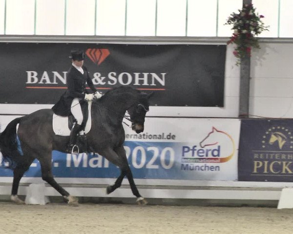 Reitturnier Karlsfeld/Obb. 2020