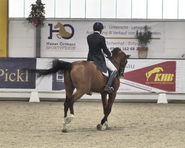Reitturnier Karlsfeld/Obb. 2020