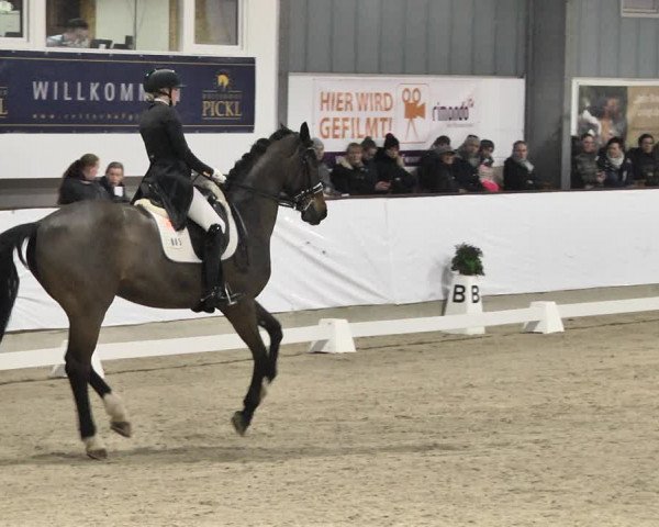 Reitturnier Karlsfeld/Obb. 2020
