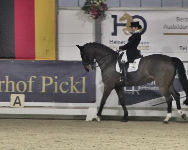 Reitturnier Karlsfeld/Obb. 2020