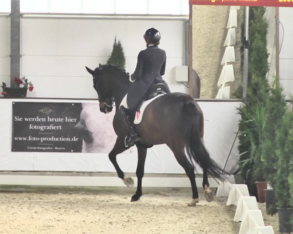 Reitturnier Karlsfeld/Obb. 2020