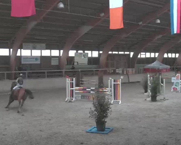 Reitturnier Heidelberg-Kirchheim 2020