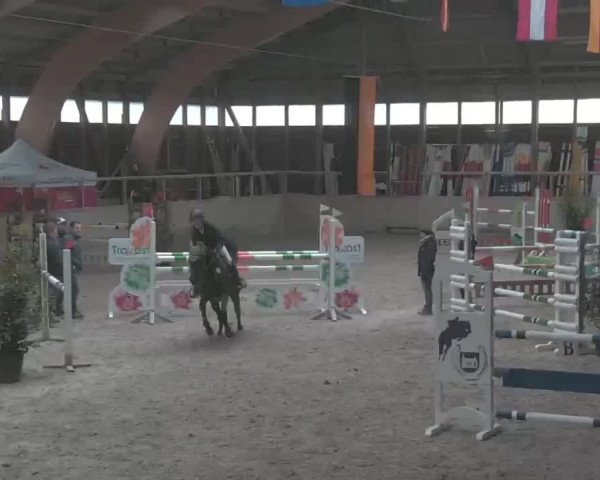 Reitturnier Heidelberg-Kirchheim 2020