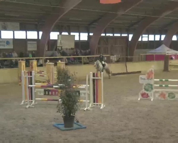 Reitturnier Heidelberg-Kirchheim 2020