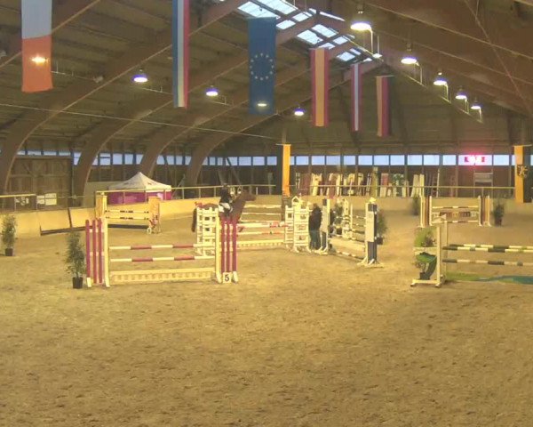 Reitturnier Heidelberg-Kirchheim 2020