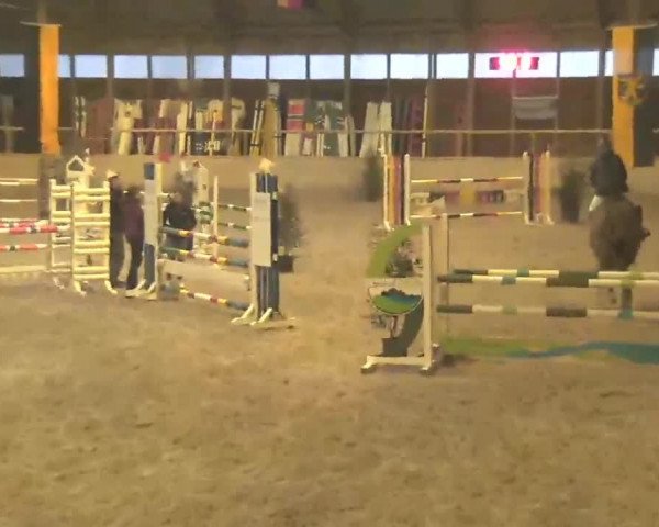 Reitturnier Heidelberg-Kirchheim 2020