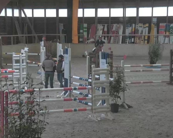Reitturnier Heidelberg-Kirchheim 2020