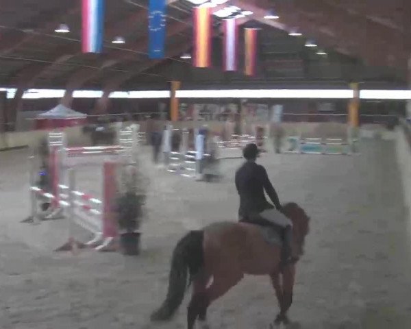 Reitturnier Heidelberg-Kirchheim 2020