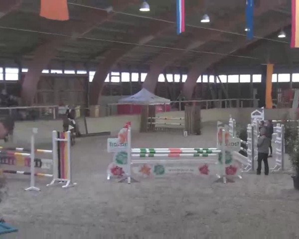 Reitturnier Heidelberg-Kirchheim 2020