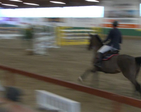 Reitturnier Warendorf-Freckenhorst 2020