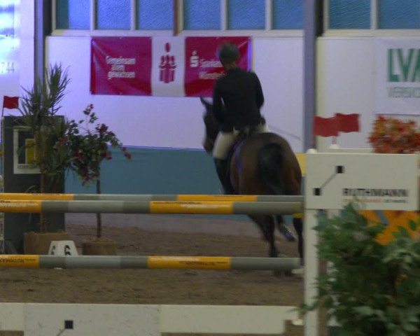 Reitturnier Warendorf-Freckenhorst 2020