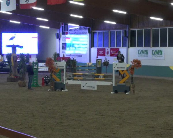 Reitturnier Warendorf-Freckenhorst 2020