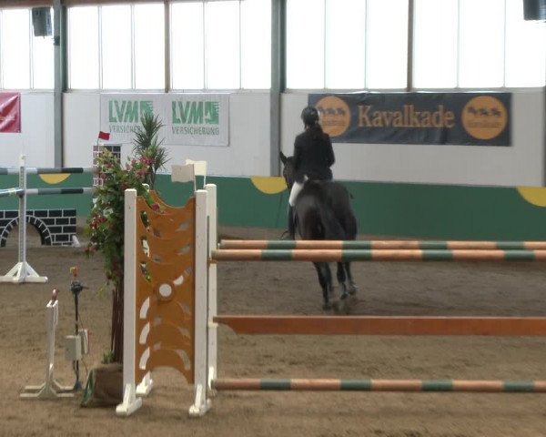 Reitturnier Warendorf-Freckenhorst 2020