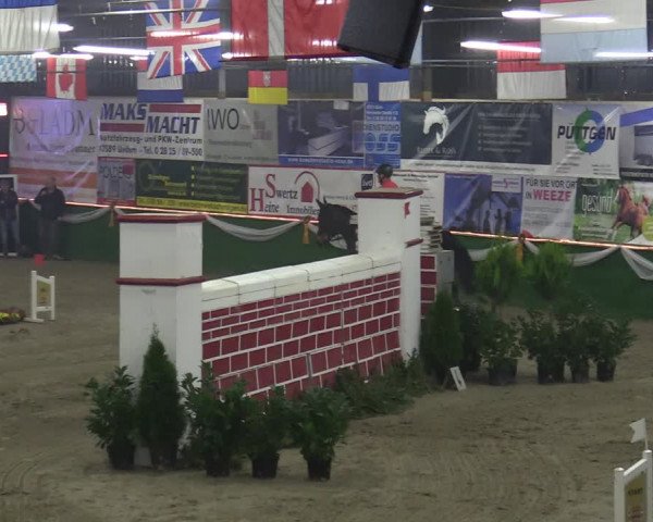 Reitturnier Keppeln - Reitanlage "Hötzenhof" 2020