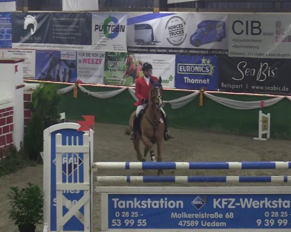 Reitturnier Keppeln - Reitanlage "Hötzenhof" 2020