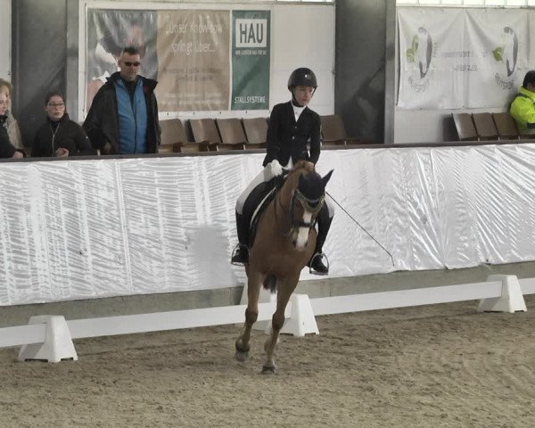 Reitturnier Karlsfeld/Obb. 2020