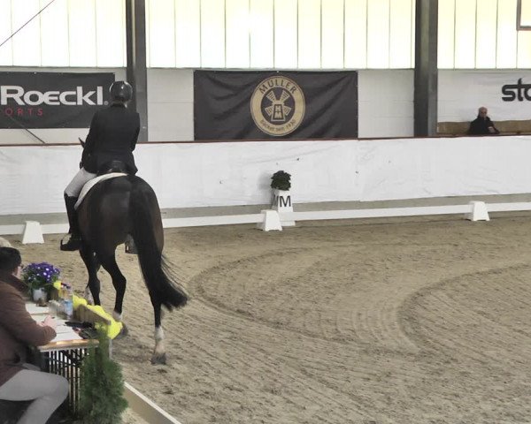 Reitturnier Karlsfeld/Obb. 2020