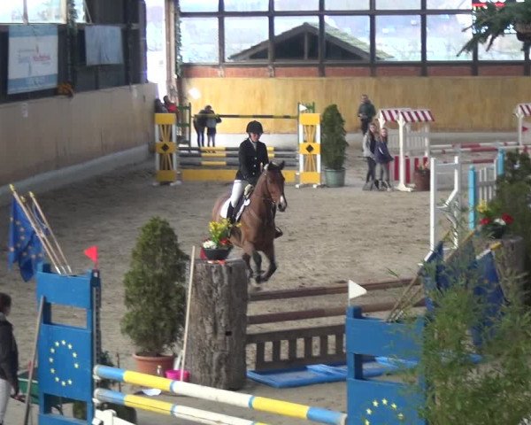 Reitturnier Monheim - Gut Blee 2020
