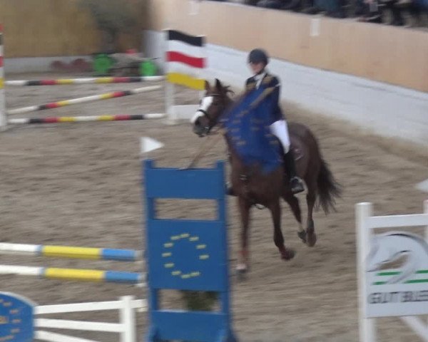 Reitturnier Monheim - Gut Blee 2020