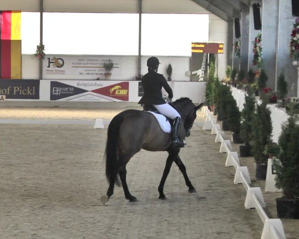 Reitturnier Karlsfeld/Obb. 2020