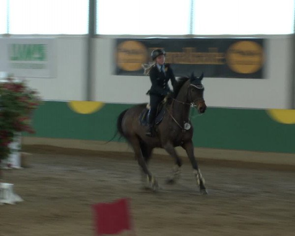 Reitturnier Warendorf-Freckenhorst 2020