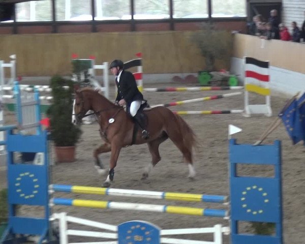 Reitturnier Monheim - Gut Blee 2020