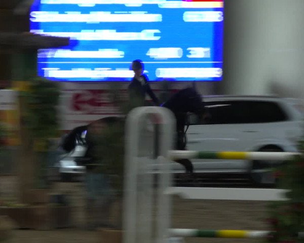 Reitturnier Warendorf-Freckenhorst 2020