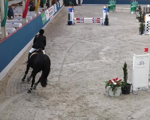Reitturnier Oberriet 2020