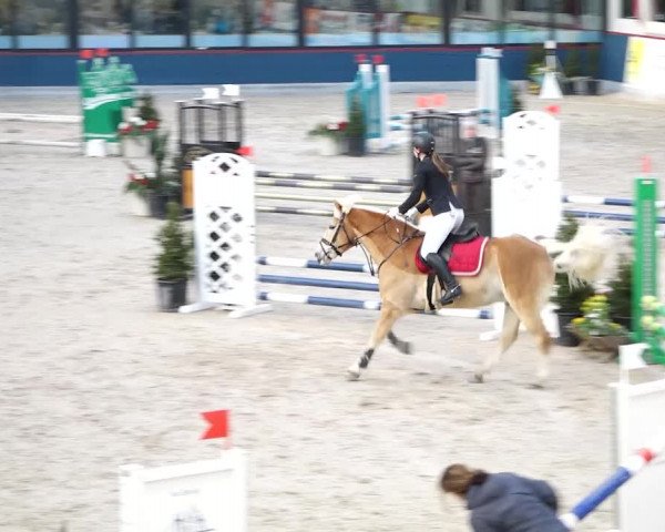 Reitturnier Oberriet 2020