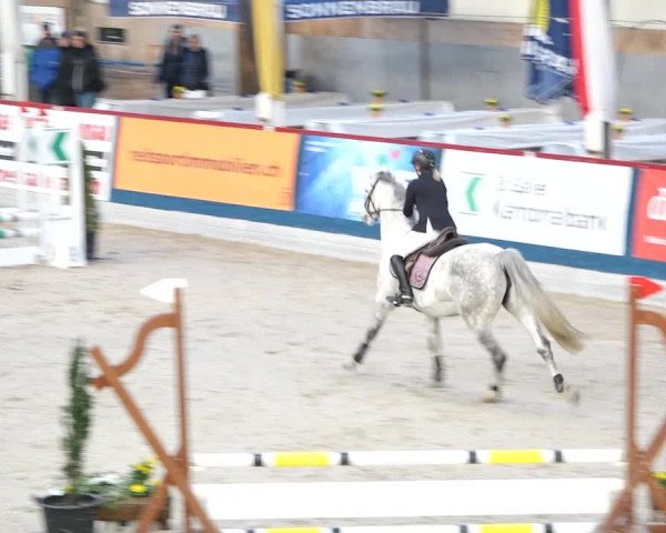 Reitturnier Oberriet 2020