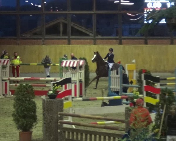Reitturnier Monheim - Gut Blee 2020