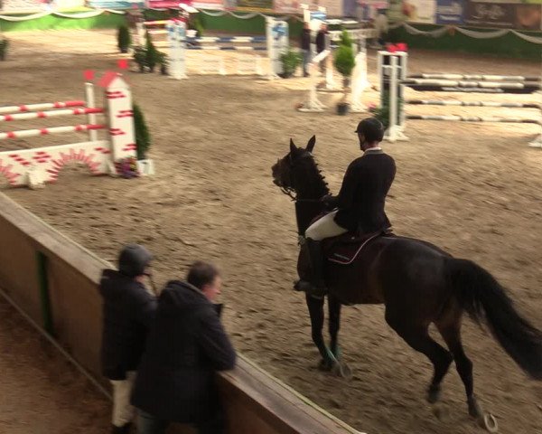 Reitturnier Keppeln - Reitanlage "Hötzenhof" 2020